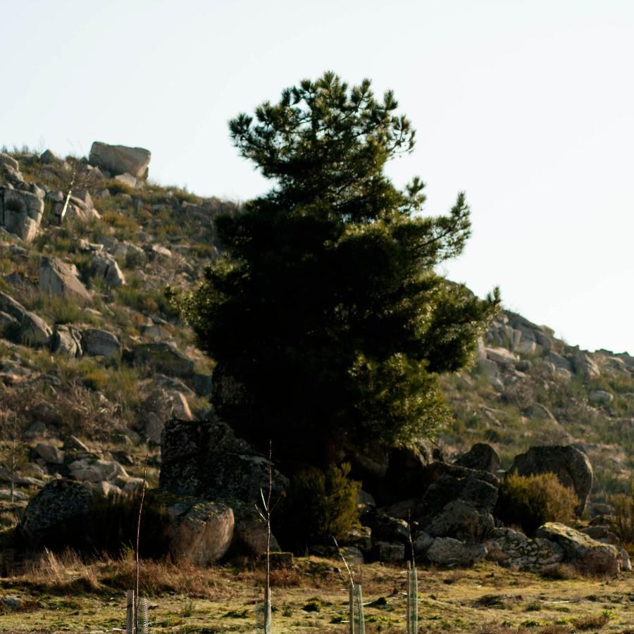 Quinta Do Chaozinho Villa Alijó Kültér fotó