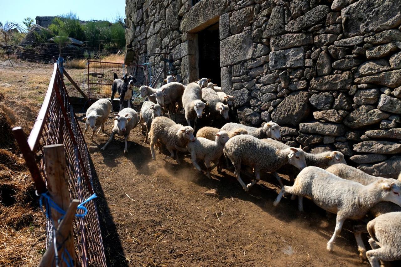 Quinta Do Chaozinho Villa Alijó Kültér fotó