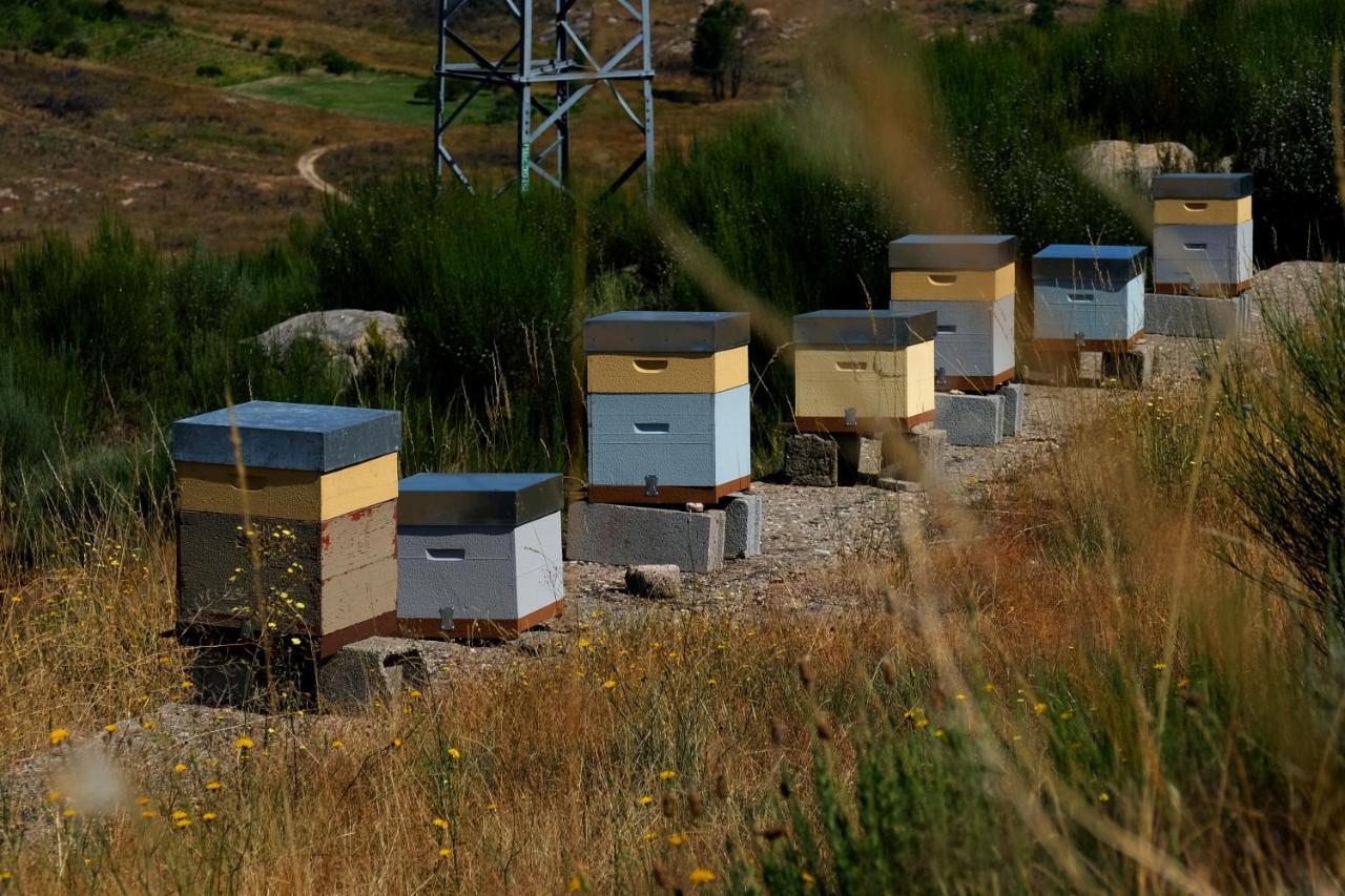 Quinta Do Chaozinho Villa Alijó Kültér fotó