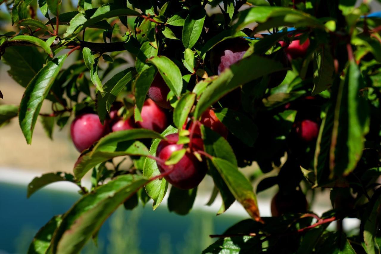 Quinta Do Chaozinho Villa Alijó Kültér fotó