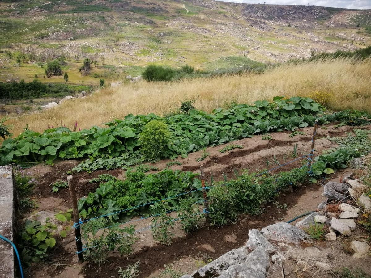 Quinta Do Chaozinho Villa Alijó Kültér fotó